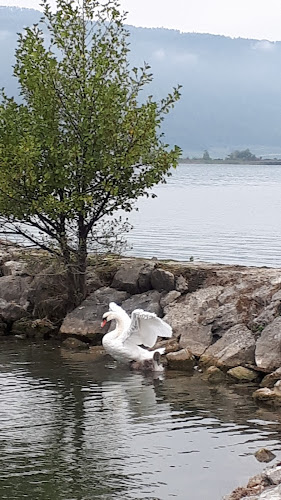 Seestrandweg 56, 3234 Vinelz, Schweiz