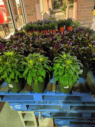 Grocery Store «Jewel-Osco», reviews and photos, 17930 Wolf Rd, Orland Park, IL 60467, USA