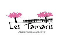 Photos du propriétaire du Restaurant français Restaurant Les Tamaris à Andernos-les-Bains - n°6