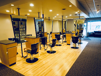 Bilancio Salon