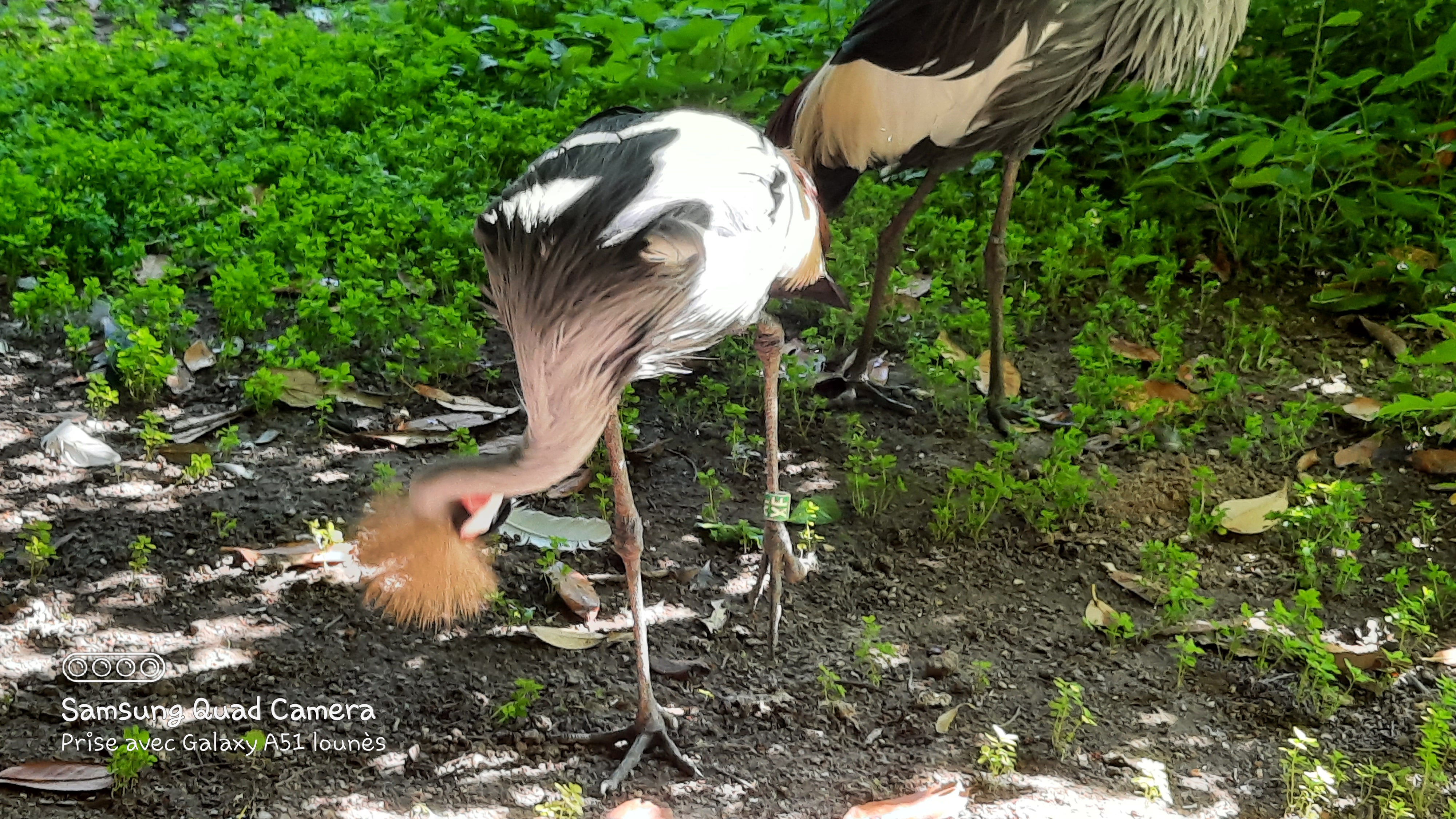 Photo n° 33 de l'avis de Lounes. fait le 02/06/2021 à 21:26