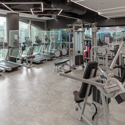 Amore Fitness & Define - The Atrium @ Orchard, 60A Orchard Rd, #04-53, Singapore 238890