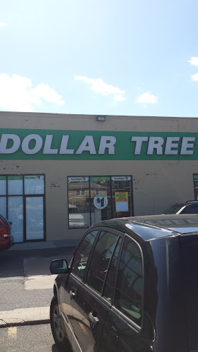 Dollar Store «Dollar Tree», reviews and photos, 200 Hempstead Turnpike, West Hempstead, NY 11552, USA