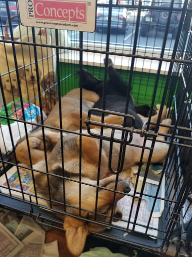 Pet Supply Store «Pet Supplies Plus», reviews and photos, 391 Broadway, Hillsdale, NJ 07642, USA