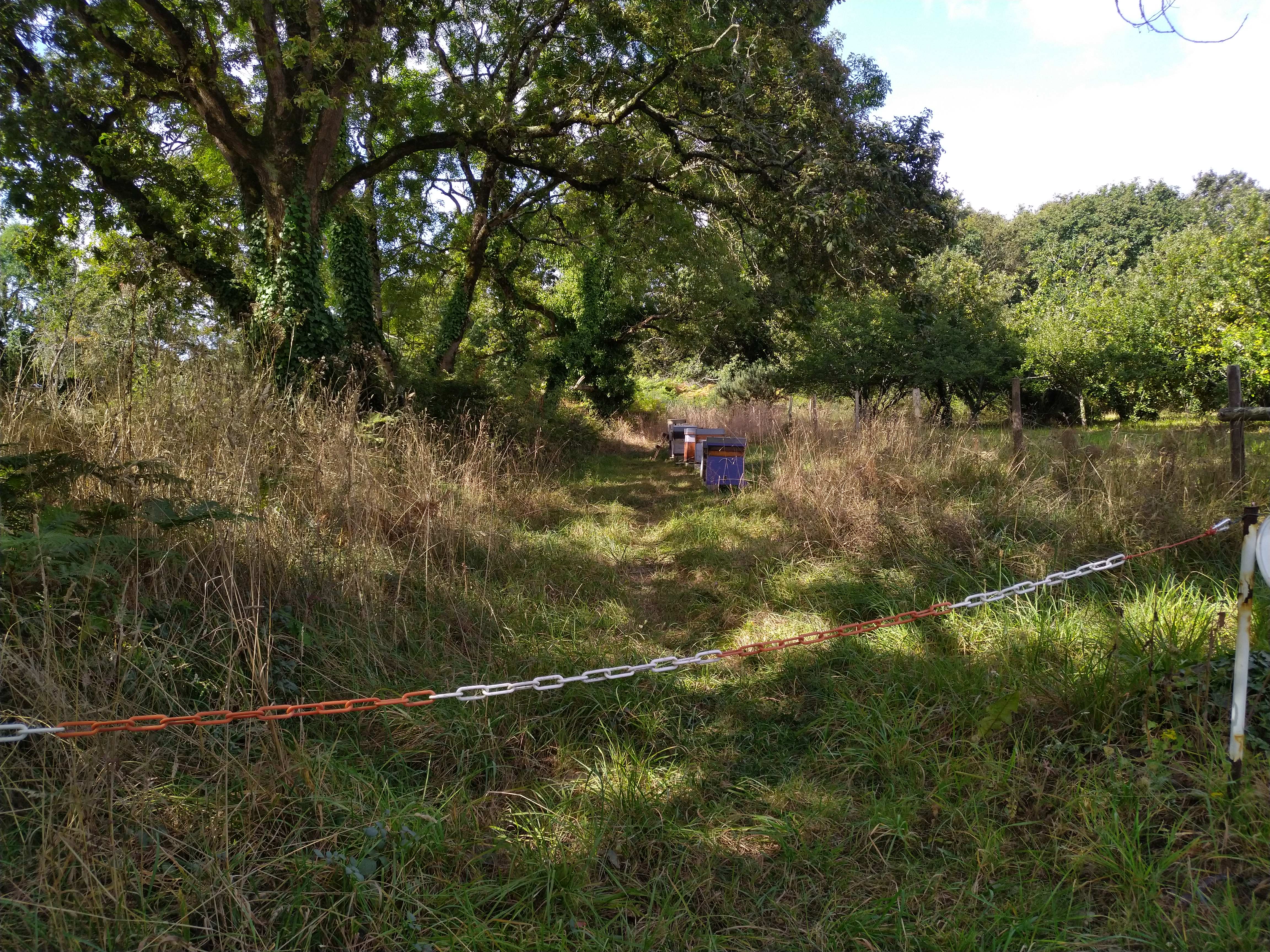 Photo n° 10 de l'avis de Alan.u fait le 31/08/2019 à 22:20
