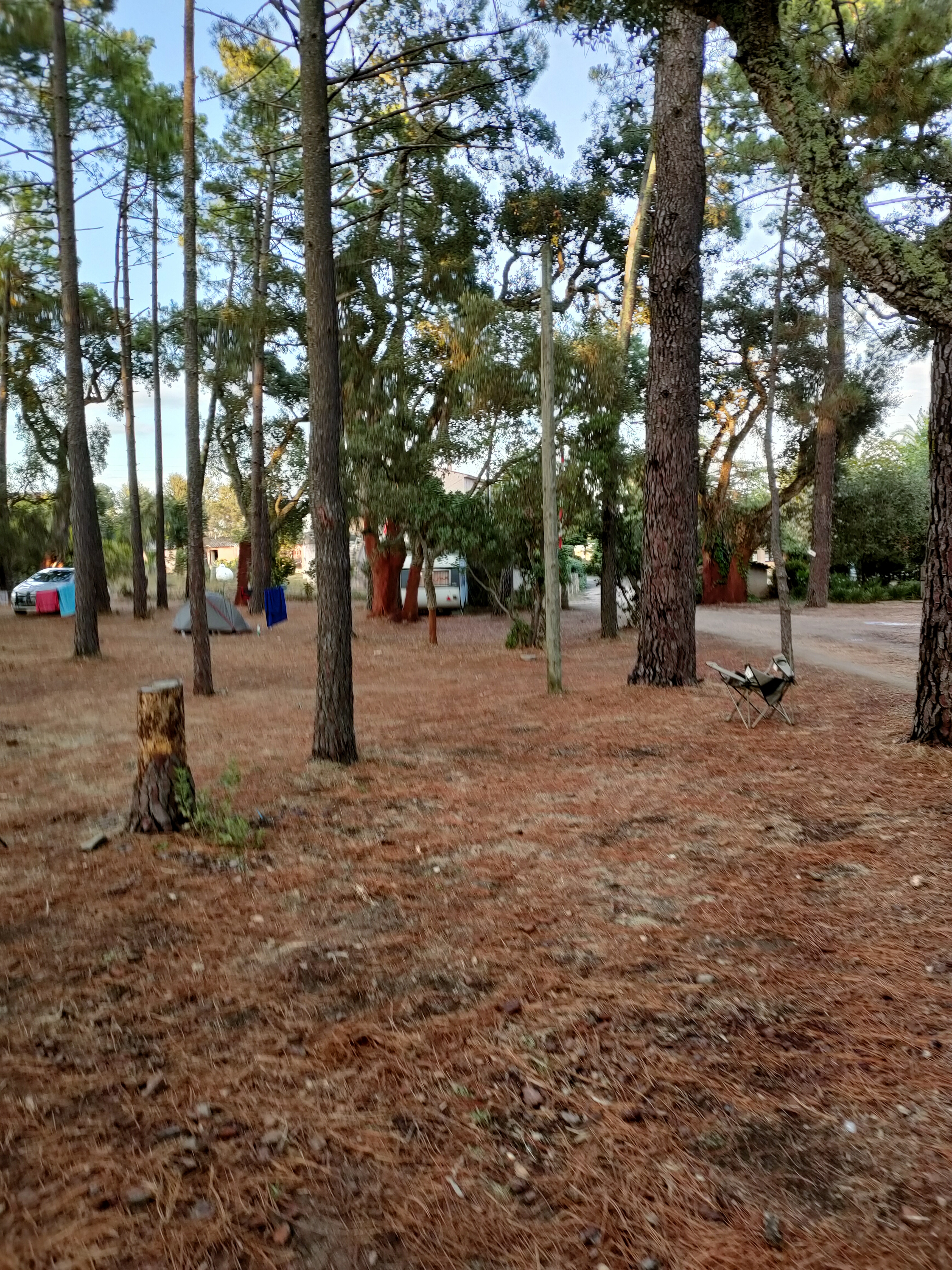 Photo n° 7 de l'avis de trucs.t fait le 05/09/2021 à 13:25