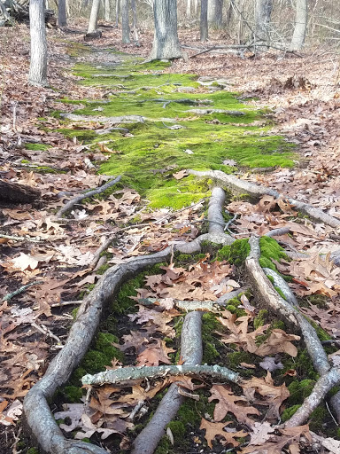 Nature Preserve «Seatuck Environmental Association», reviews and photos, 550 S Bay Ave, Islip, NY 11751, USA