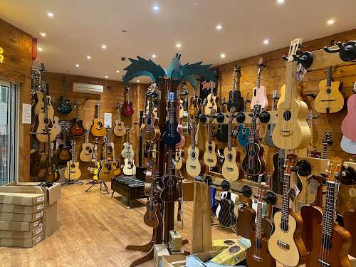 Magasin d'instruments de musique Steel Music La Garde