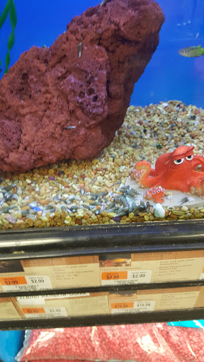 Pet Supply Store «Petco Animal Supplies», reviews and photos, 20 Stockwell Dr, Avon, MA 02322, USA