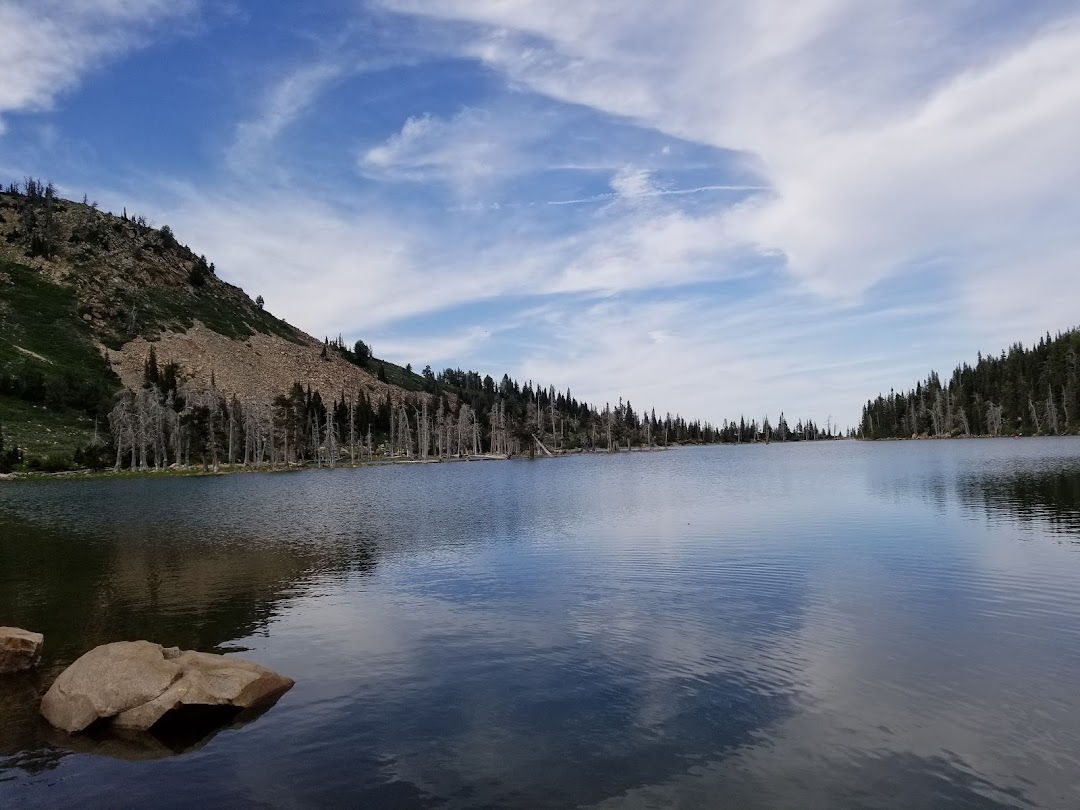 Lake Cleveland Campground - East Side