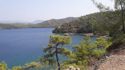 Sarıdana Bay II'in fotoğrafı doğal alan içinde bulunmaktadır