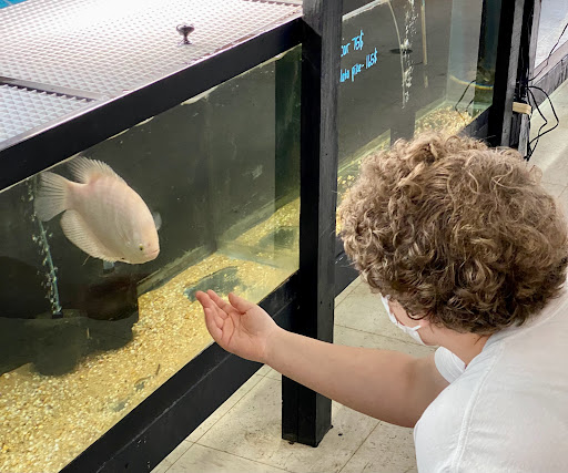 Aquarium «Skoolz of Fish», reviews and photos, 1503 Chamberlayne Ave, Richmond, VA 23222, USA