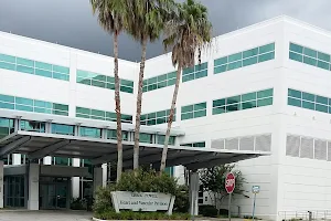 BayCare Wound Care - Morton Plant Hospital image