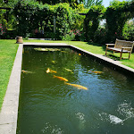 Photo n°2 de l'avis de Fabienne. fait le 02/06/2023 à 19:04 sur le  Landhaus Ettenbühl à Bad Bellingen