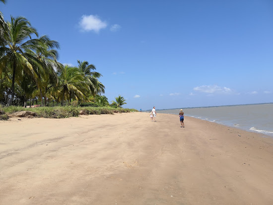 Plage des Hattes