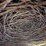 Photo n° 7 de l'avis de Gérard.u fait le 19/10/2022 à 10:46 pour Villa La Coste - Hotel, Restaurant & Spa à Le Puy-Sainte-Réparade