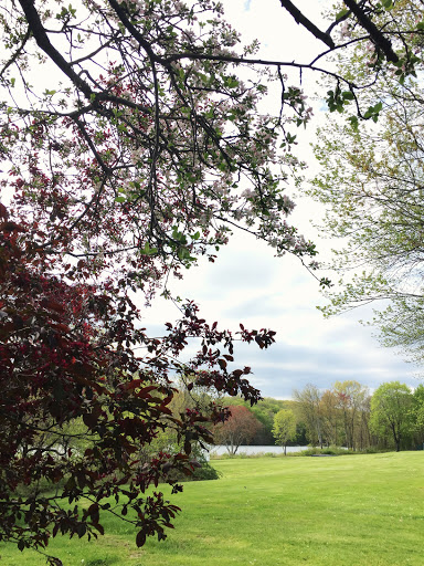 Golf Course «Crestbrook Golf Course», reviews and photos, 834 Northfield Rd, Watertown, CT 06795, USA