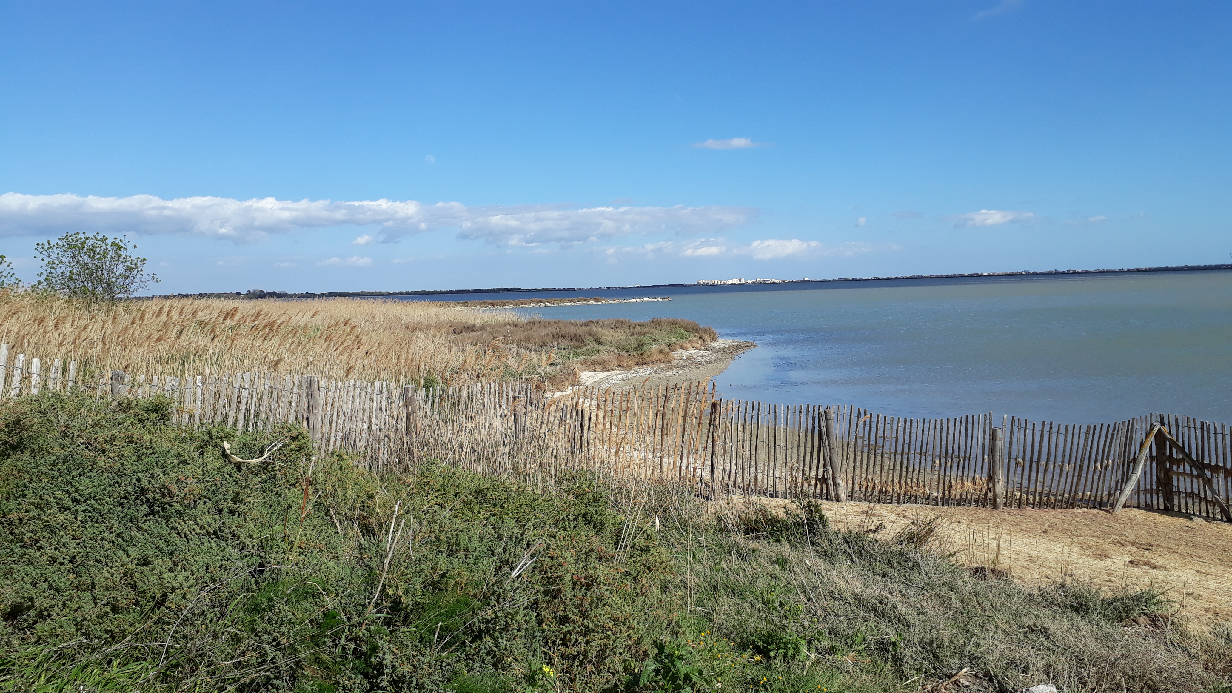 Photo n° 8 de l'avis de Cassandra.i fait le 17/03/2019 à 16:00