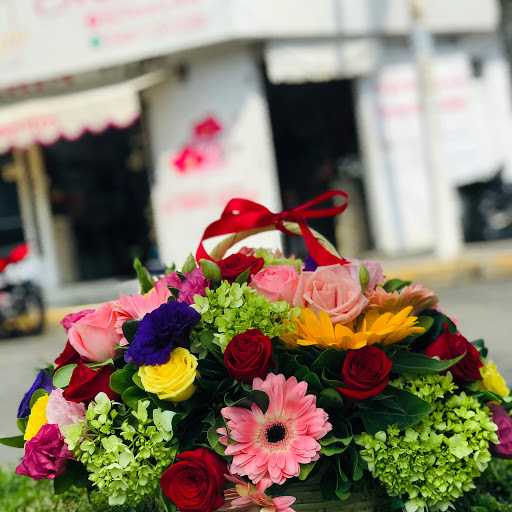 La Flore Sf