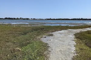 Elsie Roemer Bird Sanctuary image