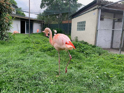 Bird Park Linkenheim unter Linkenheim-Hochstetten, 