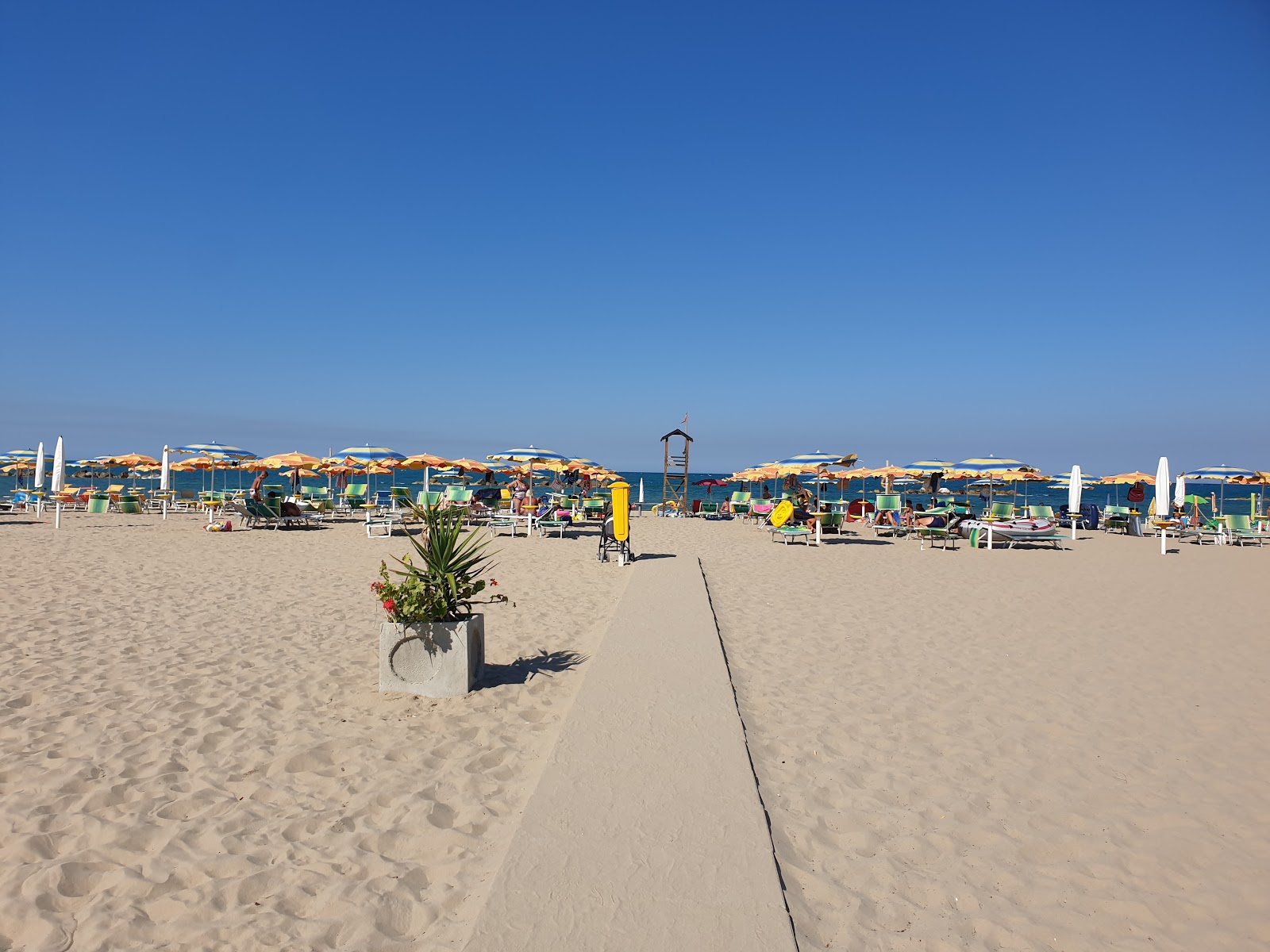 Spiaggia di Campomarino的照片 带有碧绿色纯水表面