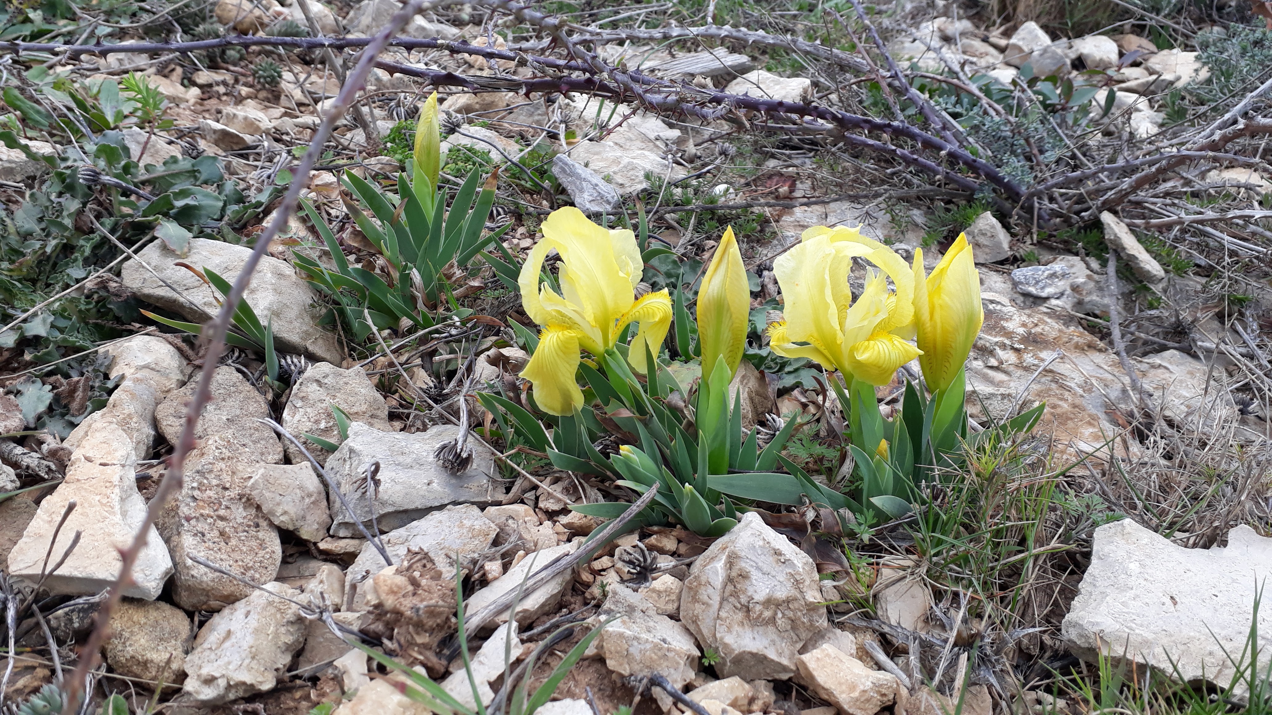 Photo n° 3 de l'avis de Claudine.o fait le 17/02/2020 à 12:44