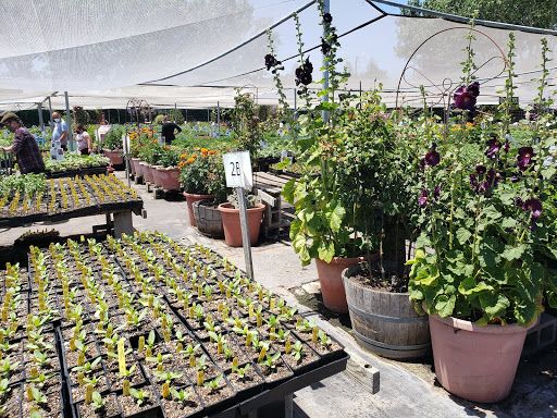 Wholesale plant nursery Richmond