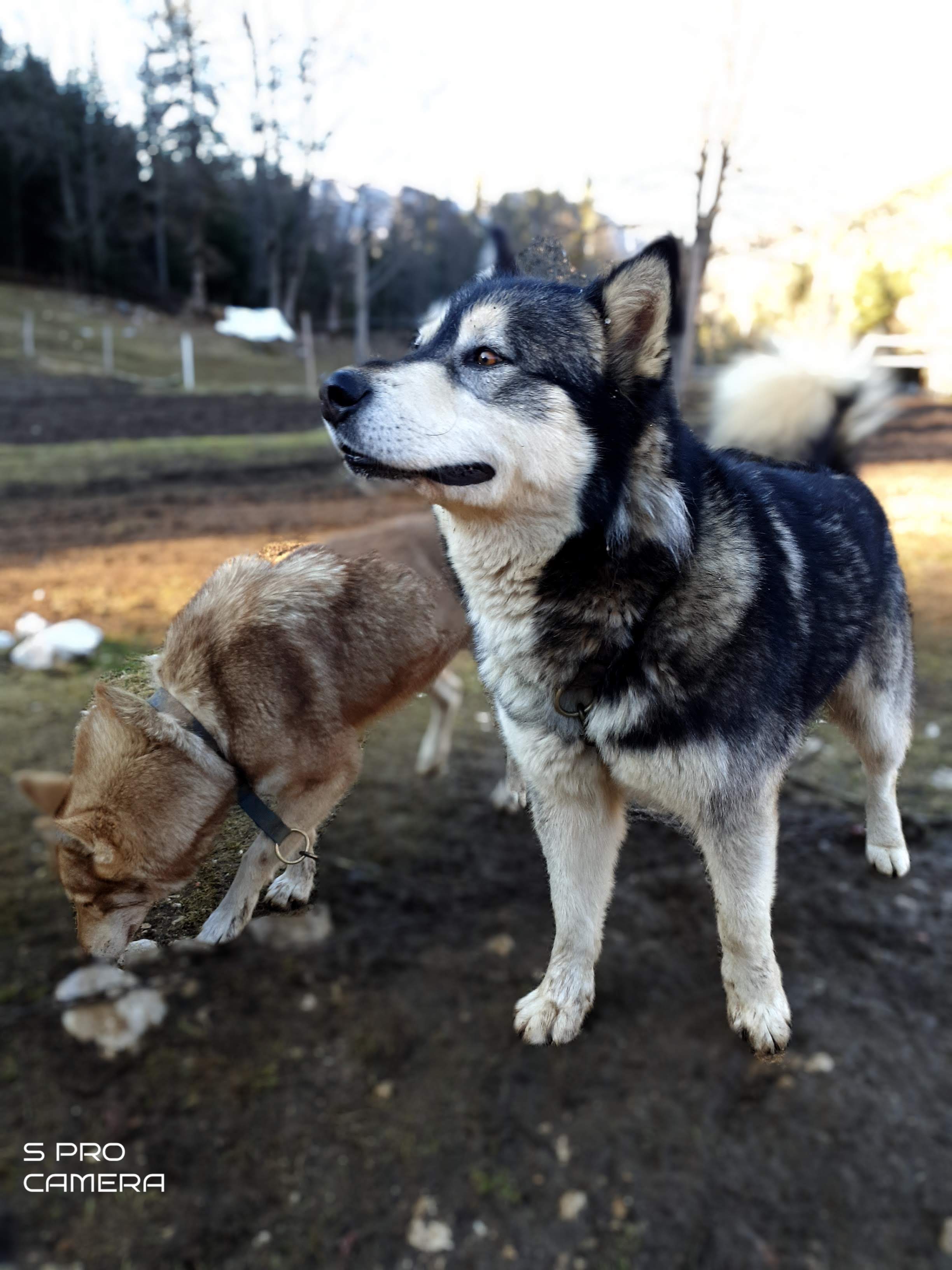 Photo n° 5 de l'avis de gwenaelle.a fait le 17/02/2020 à 19:58