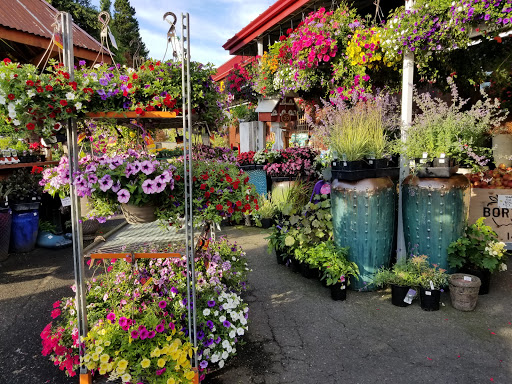 Produce Market «Tacoma Boys», reviews and photos, 5602 6th Ave, Tacoma, WA 98406, USA