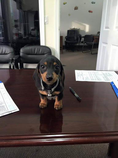 Used Car Dealer «Dave Morton Auto Sales», reviews and photos, 270 Lancaster Dr NE, Salem, OR 97301, USA