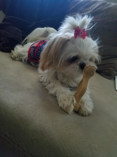 Pet Supply Store «PetSmart», reviews and photos, 1072 Bullsboro Dr, Newnan, GA 30265, USA