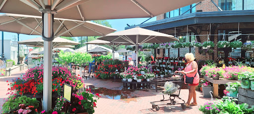 Market «Westborn Market», reviews and photos, 27659 Woodward Ave, Berkley, MI 48072, USA