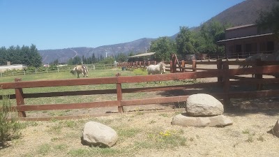 Photos of Odfjell Vineyards