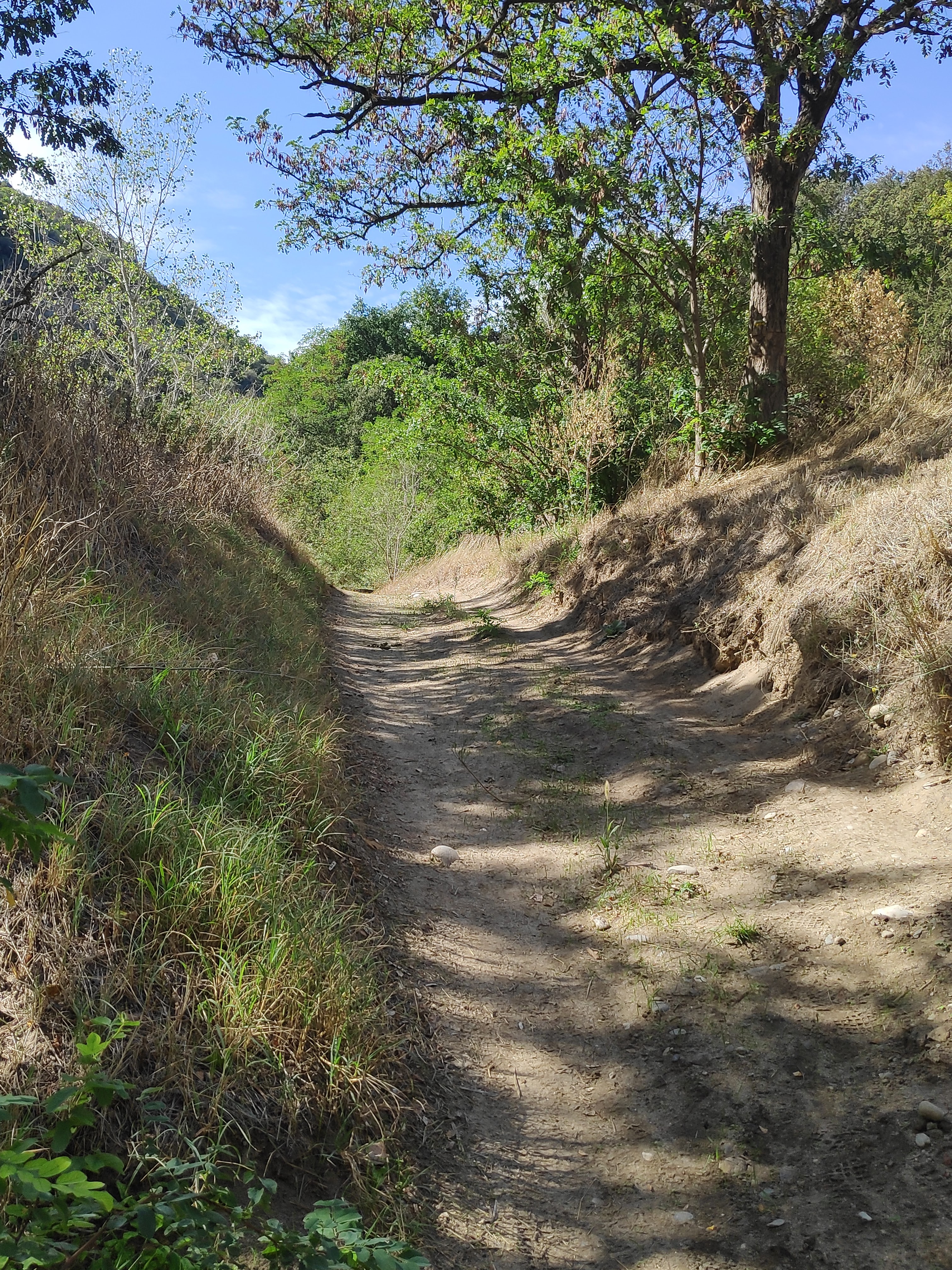 Photo n° 8 de l'avis de agnes.i fait le 27/09/2019 à 20:25