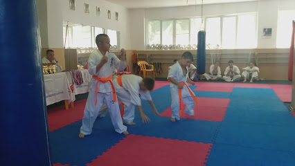 Karate Kiokusinkay - Ulitsa Pavlova, 13, Nevinnomyssk, Stavropol Krai, Russia, 357108