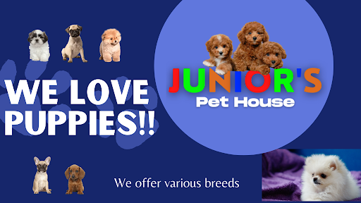 Junior's Pet House