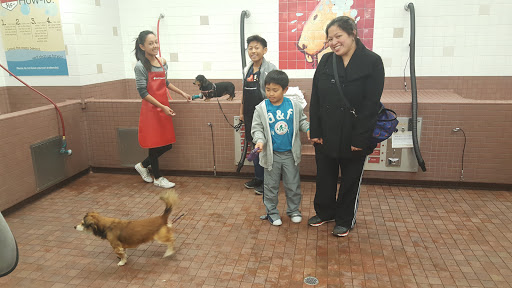 Pet Supply Store «Pet Food Express», reviews and photos, 39010 Paseo Padre Pkwy, Fremont, CA 94538, USA