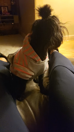 Pet Supply Store «Petco Animal Supplies», reviews and photos, 4950 S 76th St, Greenfield, WI 53220, USA