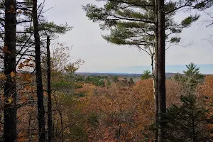 Hedgehog Mountain Trail Head image