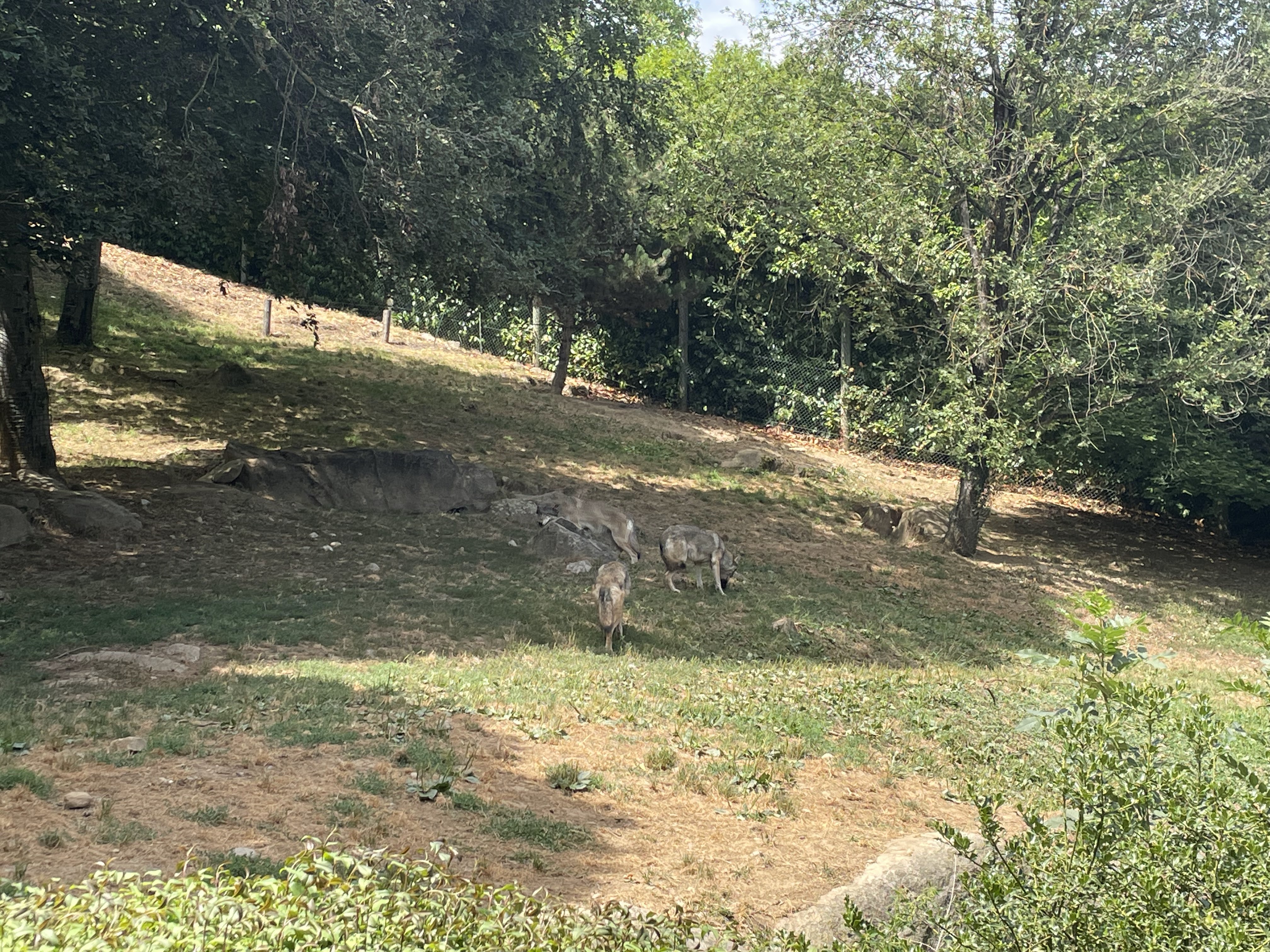 Photo n° 6 de l'avis de Gregory.G fait le 01/08/2022 à 10:31