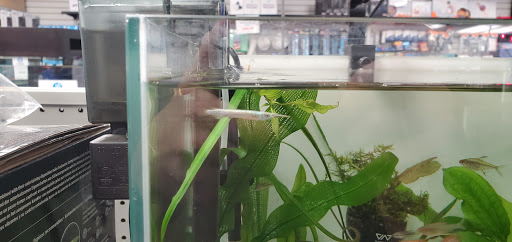 Tropical Fish Store «Premier Aquatics», reviews and photos, 1801 Roswell Rd, Marietta, GA 30062, USA