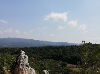 Sarıcaköy Köyü Muhtarlığı