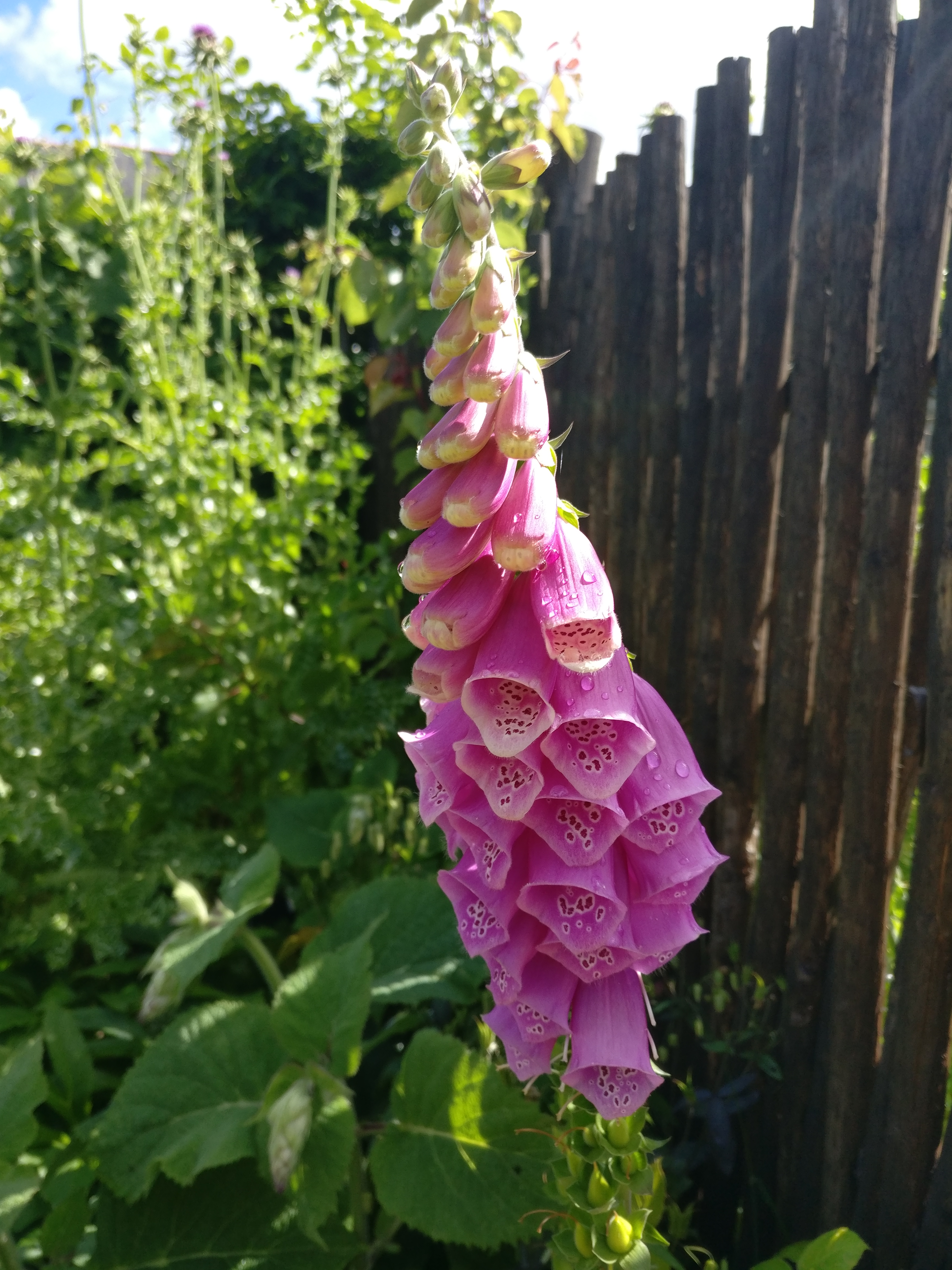 Photo n° 3 de l'avis de Bastien. fait le 06/06/2019 à 09:54