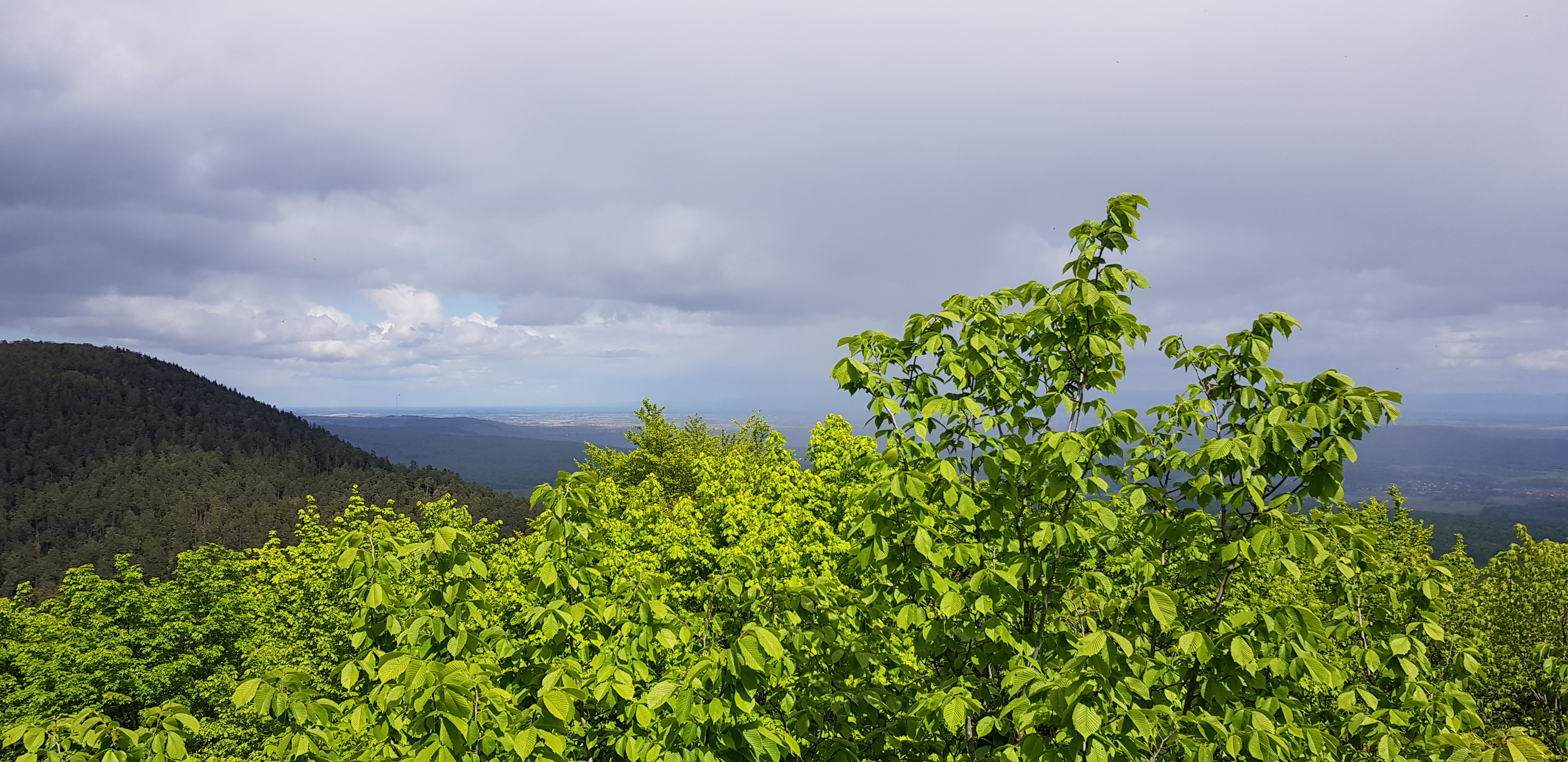 Photo n° 4 de l'avis de Jean-Luc.a fait le 24/05/2021 à 16:51