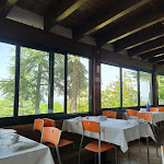 Photo n°1 de l'avis de Longa.l fait le 18/06/2023 à 20:36 sur le  Trattoria Del Colle à Levizzano Rangone