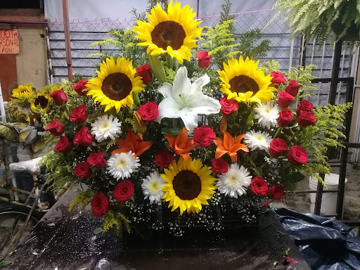 Florería Jacarandas – Ojo de Agua