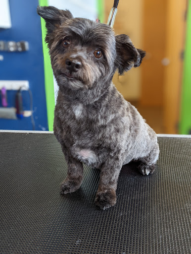 Pet Store «Healthy Pets Mountain West», reviews and photos, 2352 Fort Union Blvd, Cottonwood Heights, UT 84121, USA