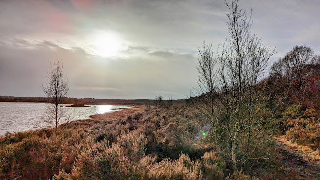 Reviews of Humberhead Peatlands NNR in Doncaster - Other