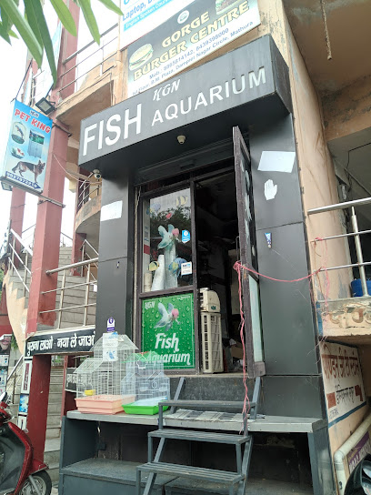 KGN Fish Aquarium & pets | Pet Food